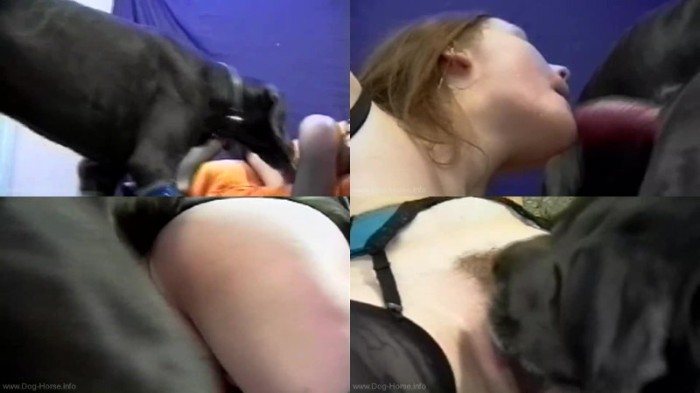 0240 DgSx Animal Passion   Horny Girls Fucking A Dog - Animal Passion - Horny Girls Fucking A Dog