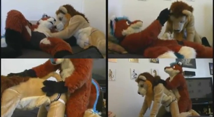 0573 ZooGay Lion And Fox Plushie Sex - Lion And Fox Plushie Sex - Male Bestiality Porn