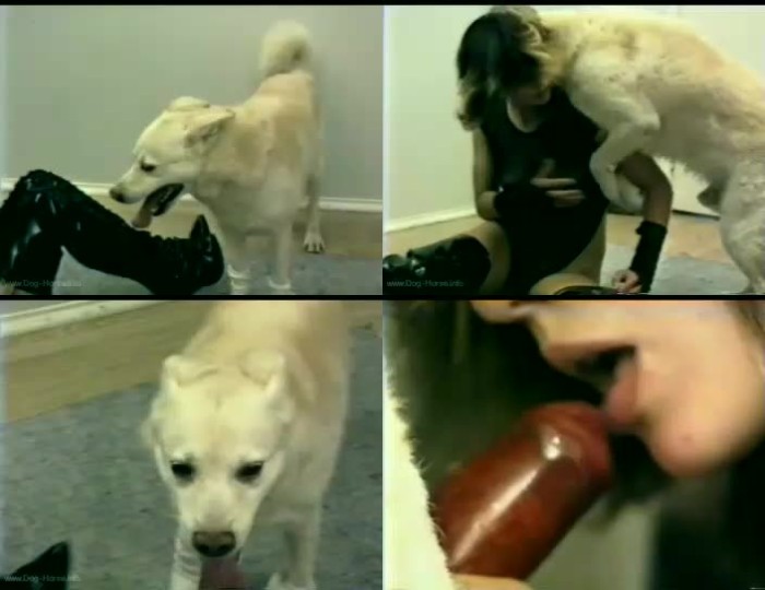 Girl porn dog 