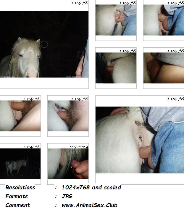 0328 ManZFoto Pics 8 Feb White Mare And Man Anal   25 Pics - Pics 8 Feb White Mare And Man Anal - 25 Pics - Male Zoophilia Pictures