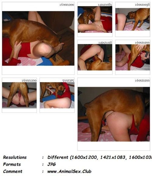 040 ZF My Wife With Our Male Boxer   8 ZooSex Pics - My Wife With Our Male Boxer - 8 ZooSex Pics - Girls Animal Porn Photos
