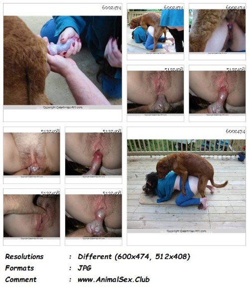 Dog And Woman - Dog That Hadthe Cream - 13 ZooSex Pics - Girls Animal Porn Photos 049 ZF Dog And Woman Dog That Hadthe Cream 13 ZooSex Pics - Dog And Woman - Dog That Hadthe Cream - 13 ZooSex Pics - Girls Animal Porn Photos