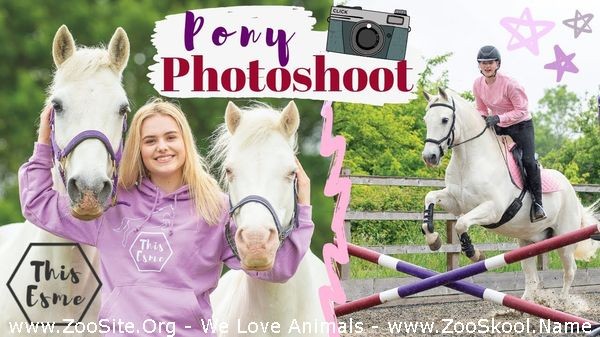 0336 FUN Pony Photoshoot For My Book Ad This Esme - Pony Photoshoot For My Book! Ad This Esme
