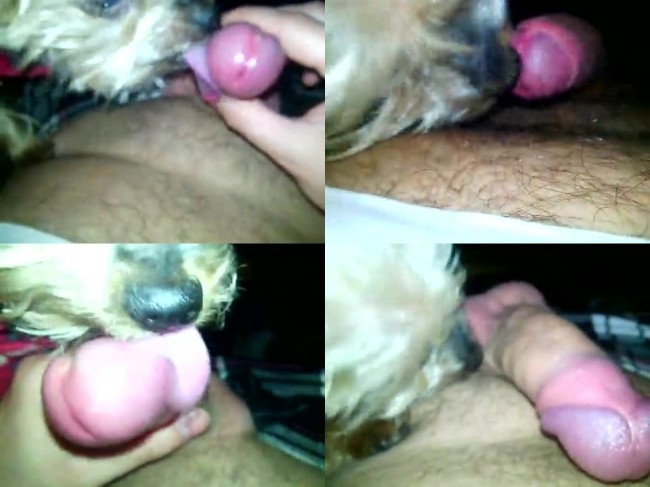 0579 ZooGay She Enjoying My Cock And Cum - She Enjoying My Cock And Cum - Male Bestiality