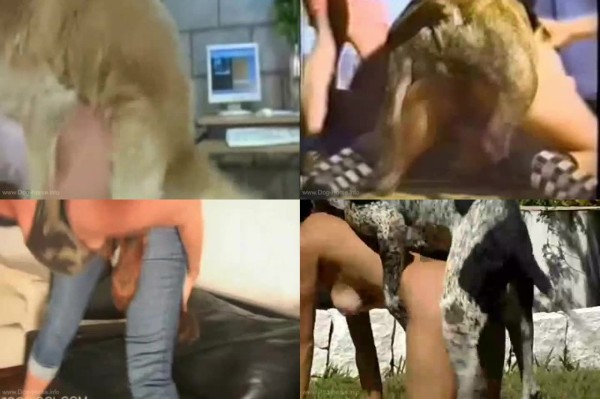 0449 HmZ Best Compilation Of Dog Fucking U Will Ever See - Best Compilation Of Dog Fucking U Will Ever See