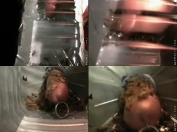 0612 ZooGay Crickets On A Cock 2 - Crickets On A Cock 2 - Male Fuck Animals