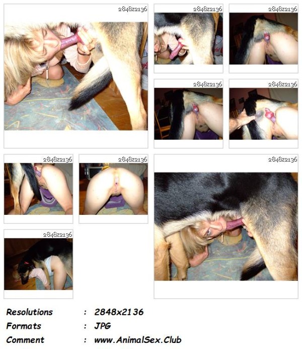 083 ZF Jackwill   Dog Knot And Suck   9 ZooSex Pics - Jackwill - Dog Knot And Suck - 9 ZooSex Pics - Girls Animal Porn Photos