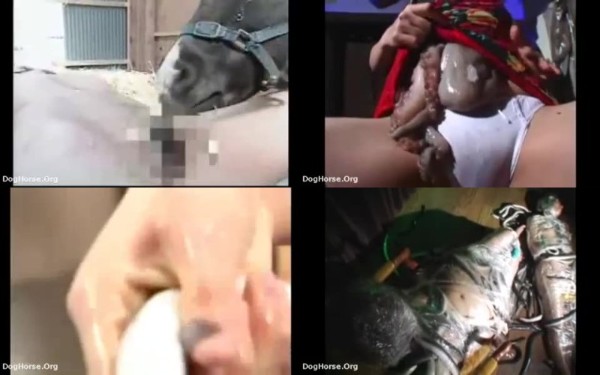 317 AZ Asian Sex Tape With Animals Involved - Asian Sex Tape With Animals Involved