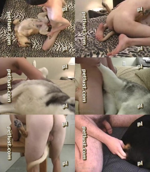 0003 ZooGay Petlust Guys And Bitches 3 - Petlust Guys And Bitches 3 - Male Bestiality Porn