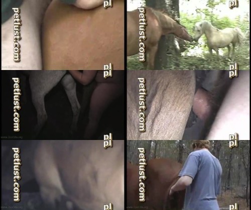 0010 ZooGay Ass Hole Horse - Ass Hole Horse - Male Bestiality Porn