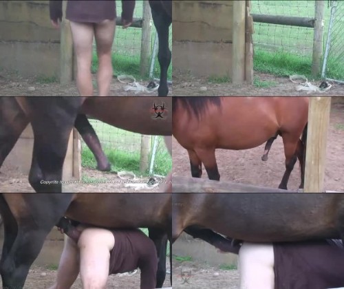 0151 ZooGay Stallion Loving - Stallion Loving - Male Bestiality Porn