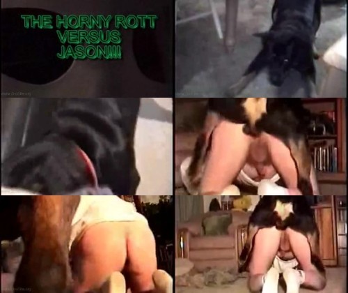 0276 ZooGay Jason1 - Jason1 - Male Bestiality Porn