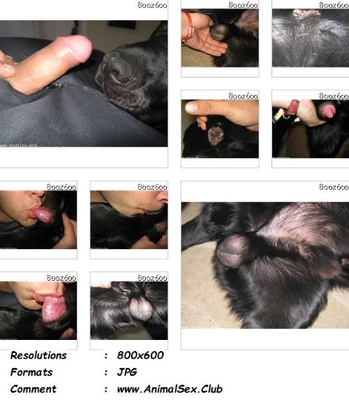 0387 ManZFoto Me With My Beautiful Black Lab Boy   16 Pics - Me With My Beautiful Black Lab Boy - 16 Pics - Gay Zoo Porn Pictures