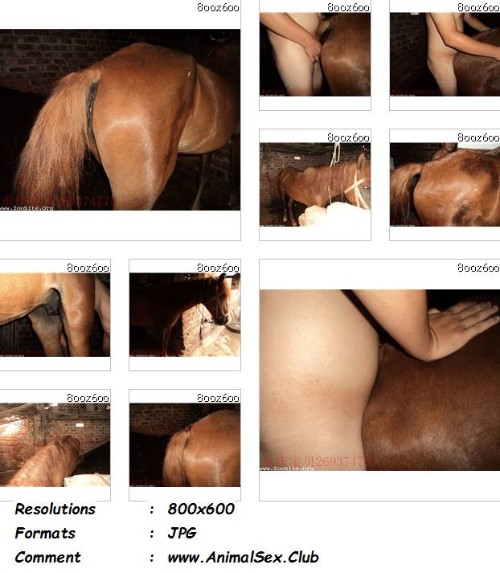 0399 ManZFoto Chinese Man And Mare   85 Pics - Chinese Man And Mare - 85 Pics - Gay Zoo Porn Pictures