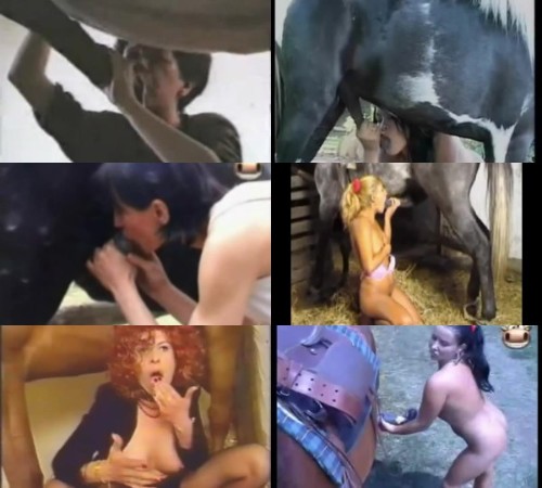 229 HrSx Cum Horse Action - Cum Horse Action / Horse Sex Video