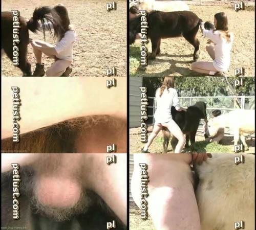 265 HrSx Petlast Donkey porn - Petlast Donkey porn / Horse Sex Video