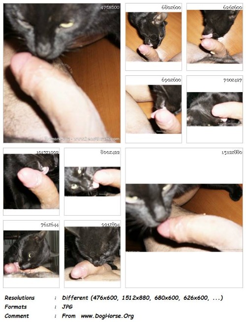 [Image: 286_ZF_Me_Getting_Licked_By_Cat_-_11_Pics.jpg]