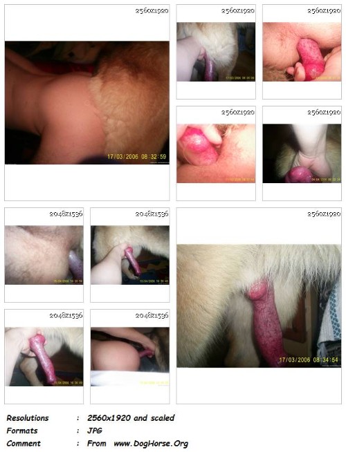 306 ZF Me And My Male Dog Male Zoophilia   13 Pics - Me And My Male Dog Male Zoophilia - 13 Pics