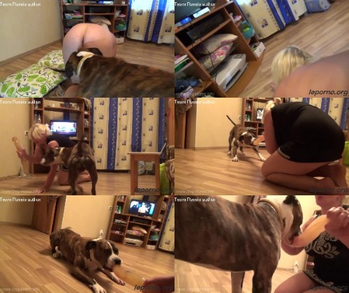 0015 DgSx Blonde And Dog - Blonde And Dog - Dog Bestiality Video