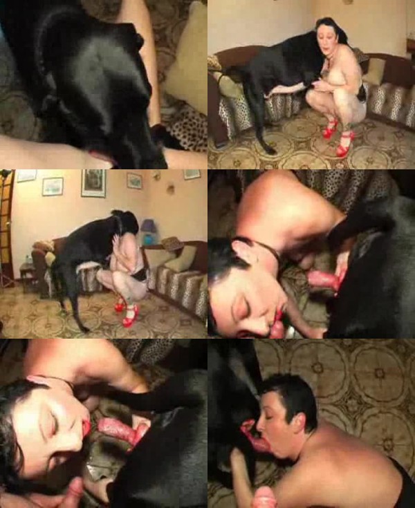 0532 ZTube Girl Sucks Dog And Get A Gs - Girl Sucks Dog And Get A Gs - ZooSex Tube