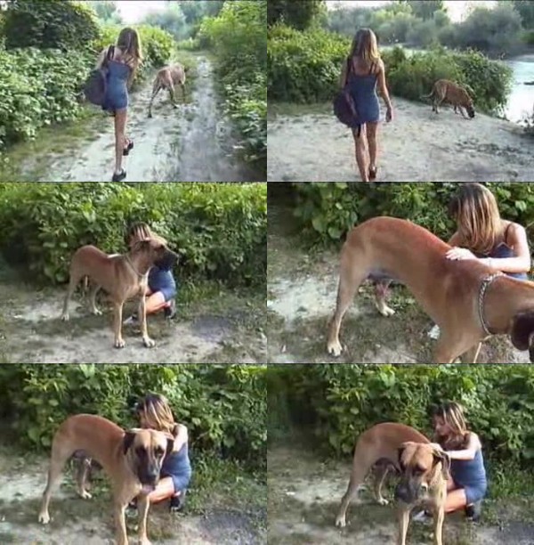 0536 ZTube Cute Girl Playing With Dog - Cute Girl Playing With Dog - ZooSex Tube