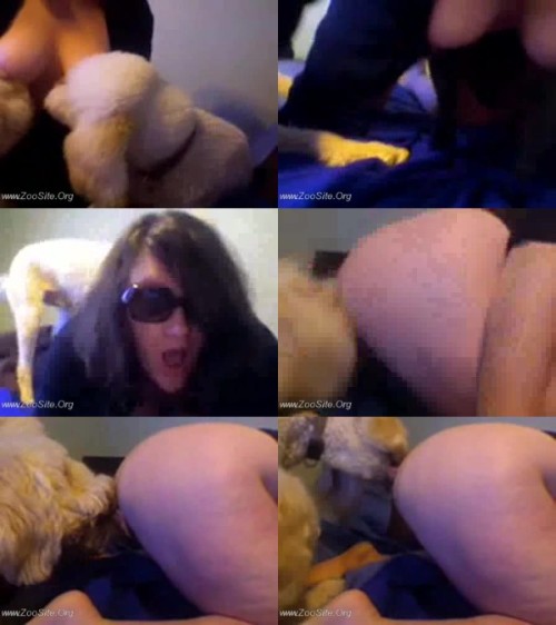 224 WebC two dogs lick on webcam - two dogs lick on webcam - Real Cam AnimalSex