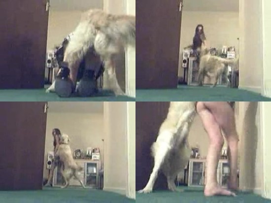0840 HmZ Young Girl Fuck With Her Dog - Young Girl Fuck With Her Dog / Amateur ZooSex