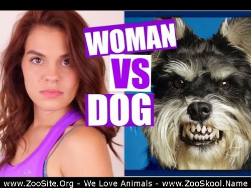 0361 FUN Woman Vs Dog - Woman Vs Dog