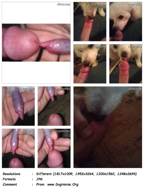 434 ZF Little Licker Loves My Cock Part 2   15 Pics - Little Licker Loves My Cock Part 2 - 15 Pics
