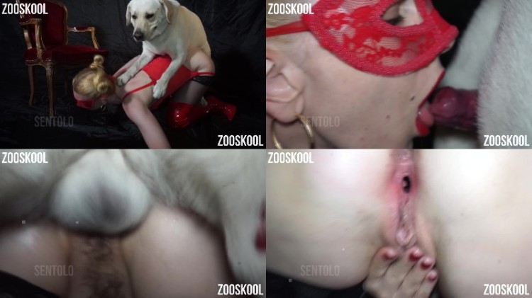 0079 PremZoo Art Of Zoo   Yasmin Model   Red Romance Zoophilia - Art Of Zoo - Yasmin Model - Red Romance Zoophilia [mp4/1080p]