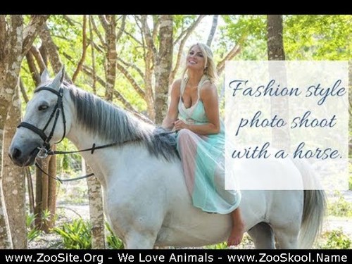 0396 FUN Fashion Style Horse Photoshoot In Riviera Maya Mexico - Fashion Style Horse Photoshoot In Riviera Maya Mexico