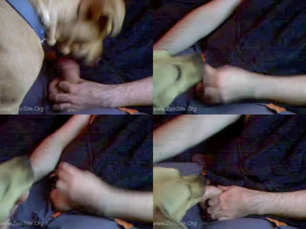 0476 ManZoo Doggy Loves To Lick - Doggy Loves To Lick