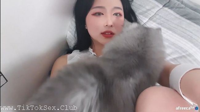 1227 TTY Play A Music   Beautiful And Normal Moments With Big Grey Cat TikTok Sexy Girls - Play A Music - Beautiful And Normal Moments With Big Grey Cat TikTok Sexy Girls [1080p / 68.09 MB]