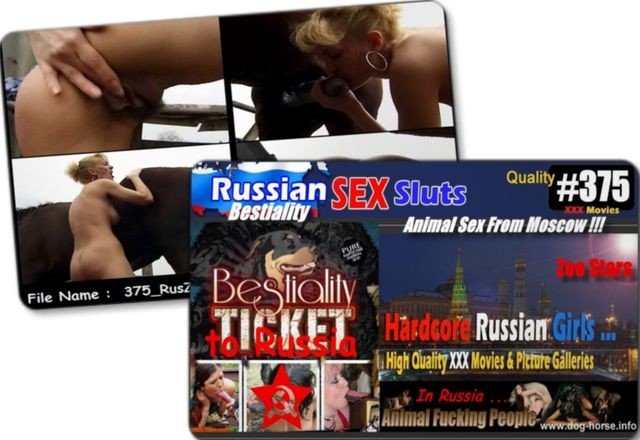 375 RusZ - 375 RusZ - Russian Bestiality porn
