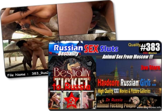 383 RusZ - 383 RusZ - Russian Bestiality porn