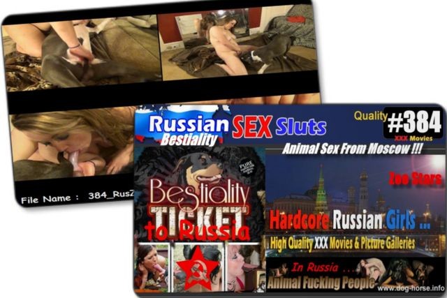 384 RusZ - 384 RusZ - Russian Bestiality porn