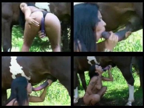 1059 ZTub Pornstar Monica Mattos With Horse - Pornstar Monica Mattos With Horse