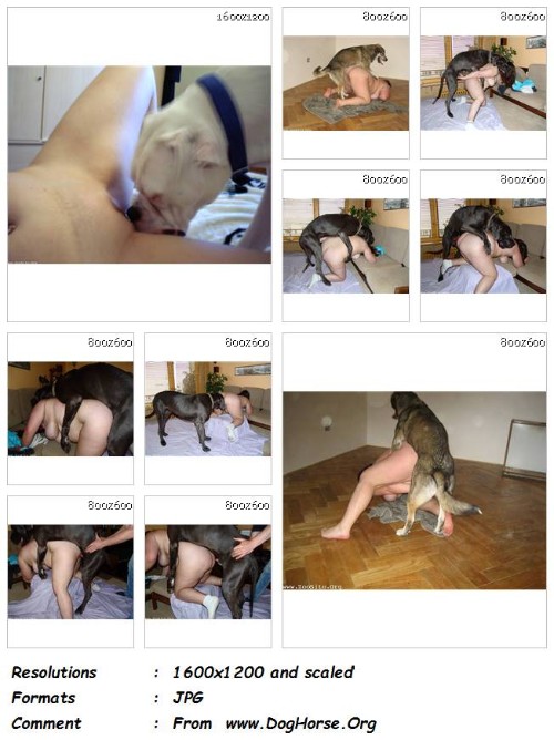 467 ZF First Time Wife With Dog   10 Pics - First Time Wife With Dog - 10 Pics