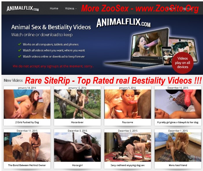 Bestiality Video Free Porn
