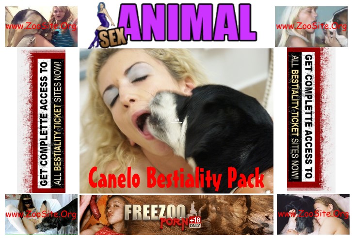 animal bestiality