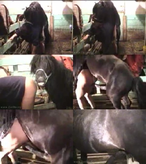 Zoo - Mistress Beast Horse In Stall - Incredible Cumshot In Pussy - Male Zo...