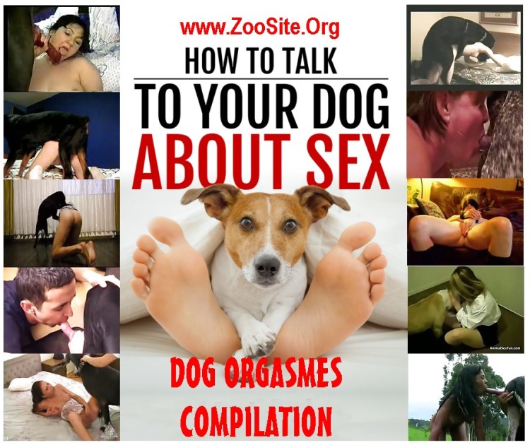 Erotic videos animals dogs