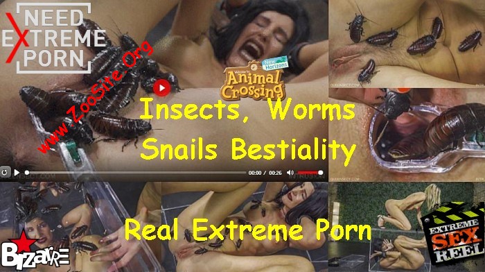 Insects Worms Snails Bestiality Most Extreme Zoophilia Porn  