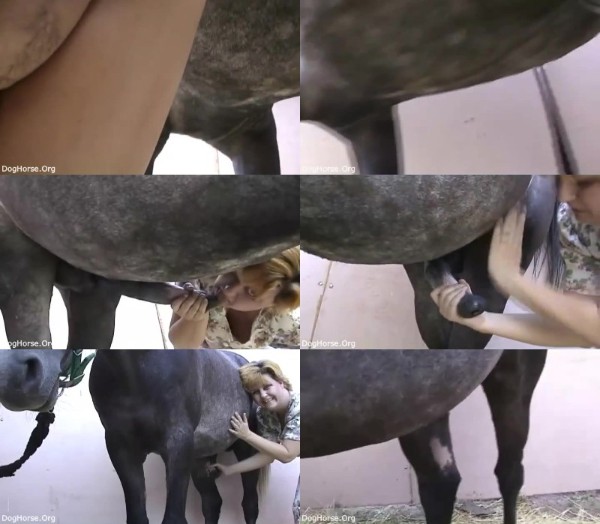 668 HrSx Female Jerks Off Giant Horse ZooSex Dick - Female Jerks Off Giant Horse ZooSex Dick