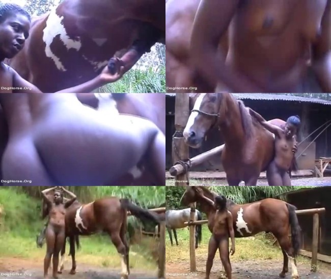 Girl To Horsh Sex Video Download - Ebony Horse ZooSexgirl â€“ Horse Bestiality Video â€“ Zoo Sex Site â„–1