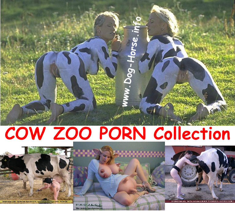 Cow Fuck - COW FUCK COLLECTION - Men COW FUCK, Girls COW FUCK, Cows Fuck People...