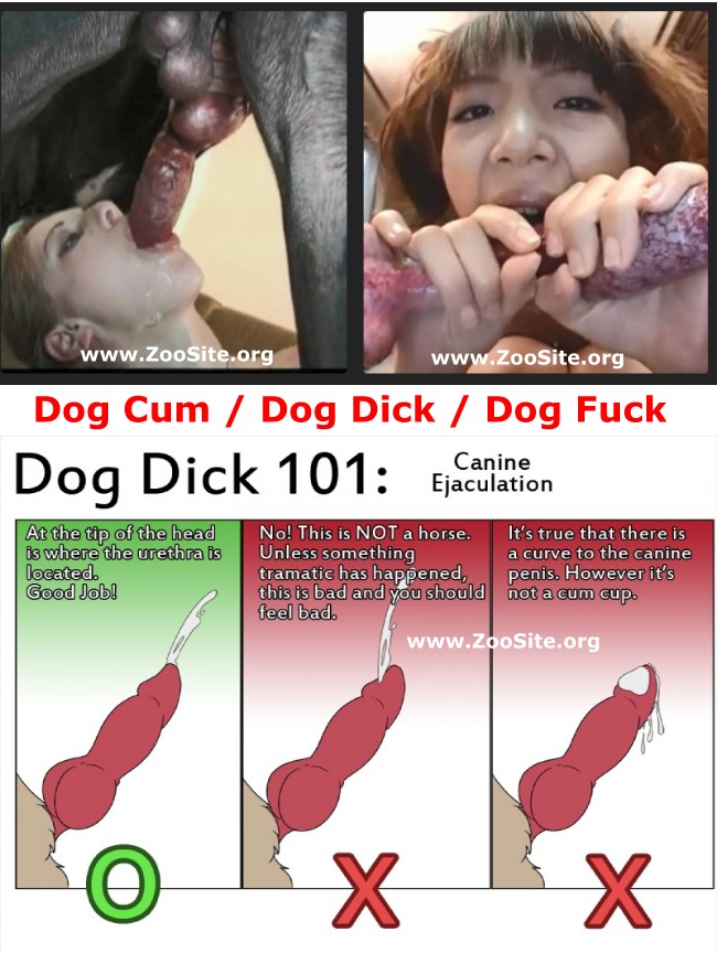 Dogcum - DOG CUM COMPILATION - How Make a Dog CumShots