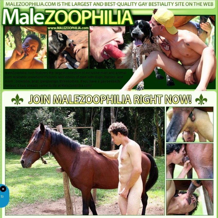 Malezoo - MaleZoophilia SiteRip - Lergest Gay Bestiality Site