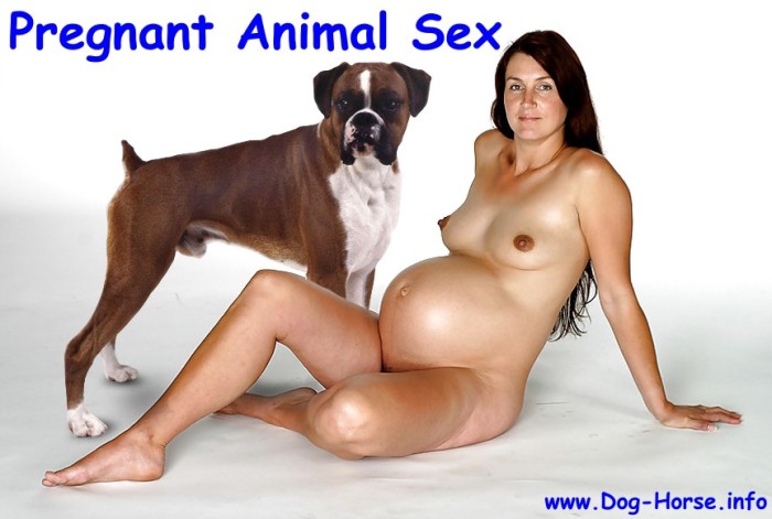 Pregnant - Pregnant Animal Sex - Dog and Horse Fuck Pregnant Beauty