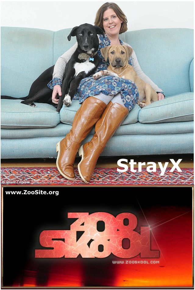 Strayx - StrayX - Most Famous Animal Porn Strar